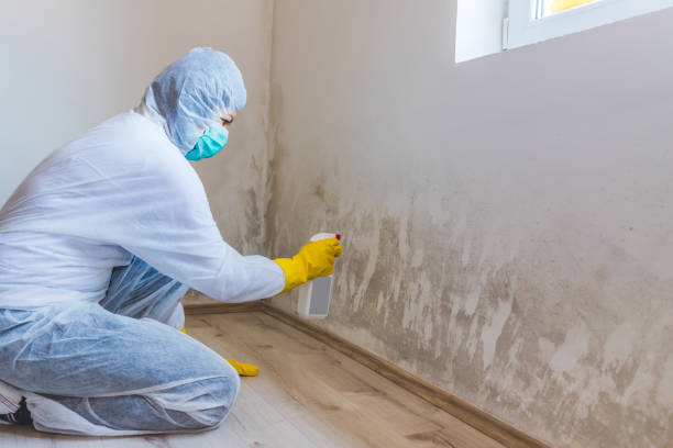 Bathroom Mold Removal assessment in Bear Lake bathroom