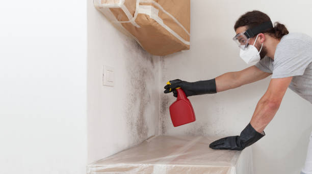 Attic Mold Remediation treatment on roof deck in Bear Lake